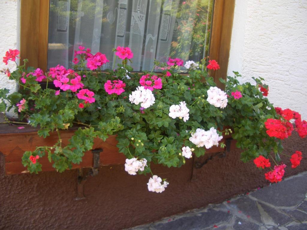 Haus Brigitte - Preise Inclusive Pitztal Sommer Card แยร์สเซินส์ ภายนอก รูปภาพ
