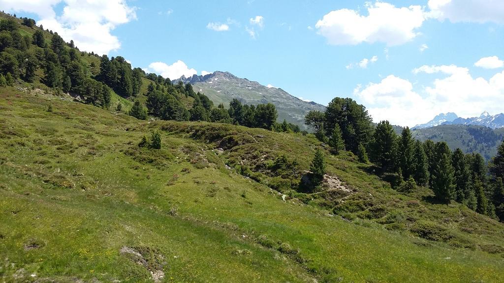 Haus Brigitte - Preise Inclusive Pitztal Sommer Card แยร์สเซินส์ ภายนอก รูปภาพ