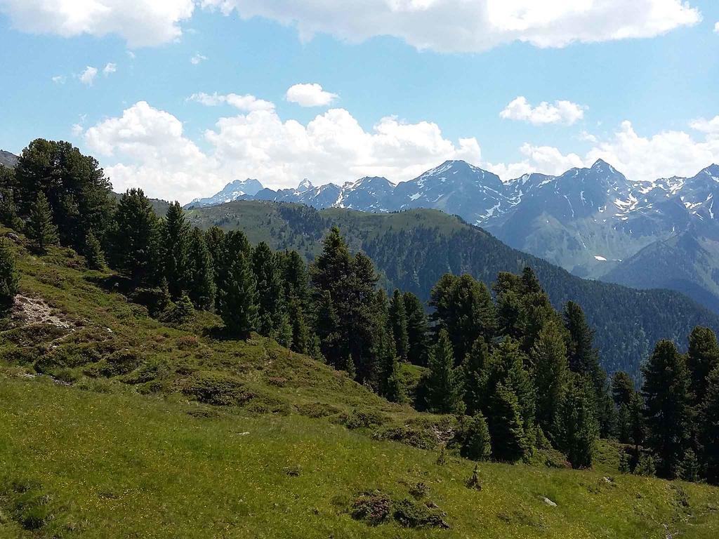 Haus Brigitte - Preise Inclusive Pitztal Sommer Card แยร์สเซินส์ ภายนอก รูปภาพ
