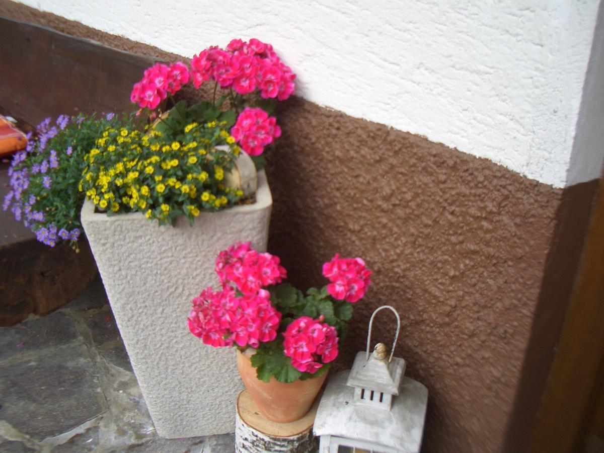 Haus Brigitte - Preise Inclusive Pitztal Sommer Card แยร์สเซินส์ ภายนอก รูปภาพ